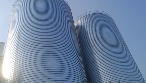 朔州2座混凝土高架卷板仓